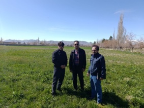 کنترل شیمیایی و مکانیکی علفهای هرز