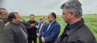 بازدید گل‌محمدی از دستاورد راهبردی سازمان تات؛ توسعه کشت کاملینا در گلستان شتاب گرفت