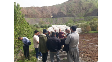 برگزاری سه دوره آموزشی در کردستان برای توانمندسازی بهره‌برداران؛ گامی در مسیر تحقق «سال آموزش و ترویج تات»