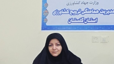 آغاز اجرای شبکه ملی مزارع الگویی کشاورزی در گلستان؛ ۹۵ مزرعه در مسیر انتقال سریع فناوری