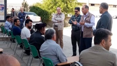 نظارت بر الگوی کشت و توسعه زنجیره ارزش آفتابگردان در کرمانشاه