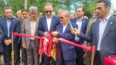 رونمایی از دو رقم جدید برنج «تی‌تی» و «کویر»؛ توسعه سبد ارقام پرمحصول و کم‌آب‌بر کشور