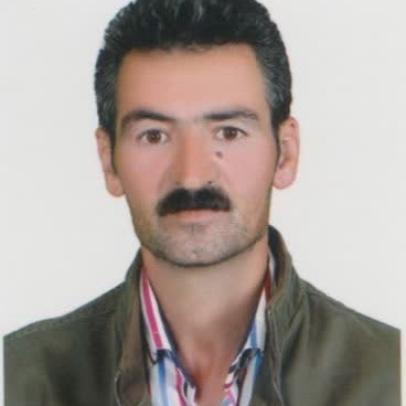 حمید محمدی