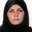 نسرین رزمی