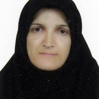 نوشین طغرایی