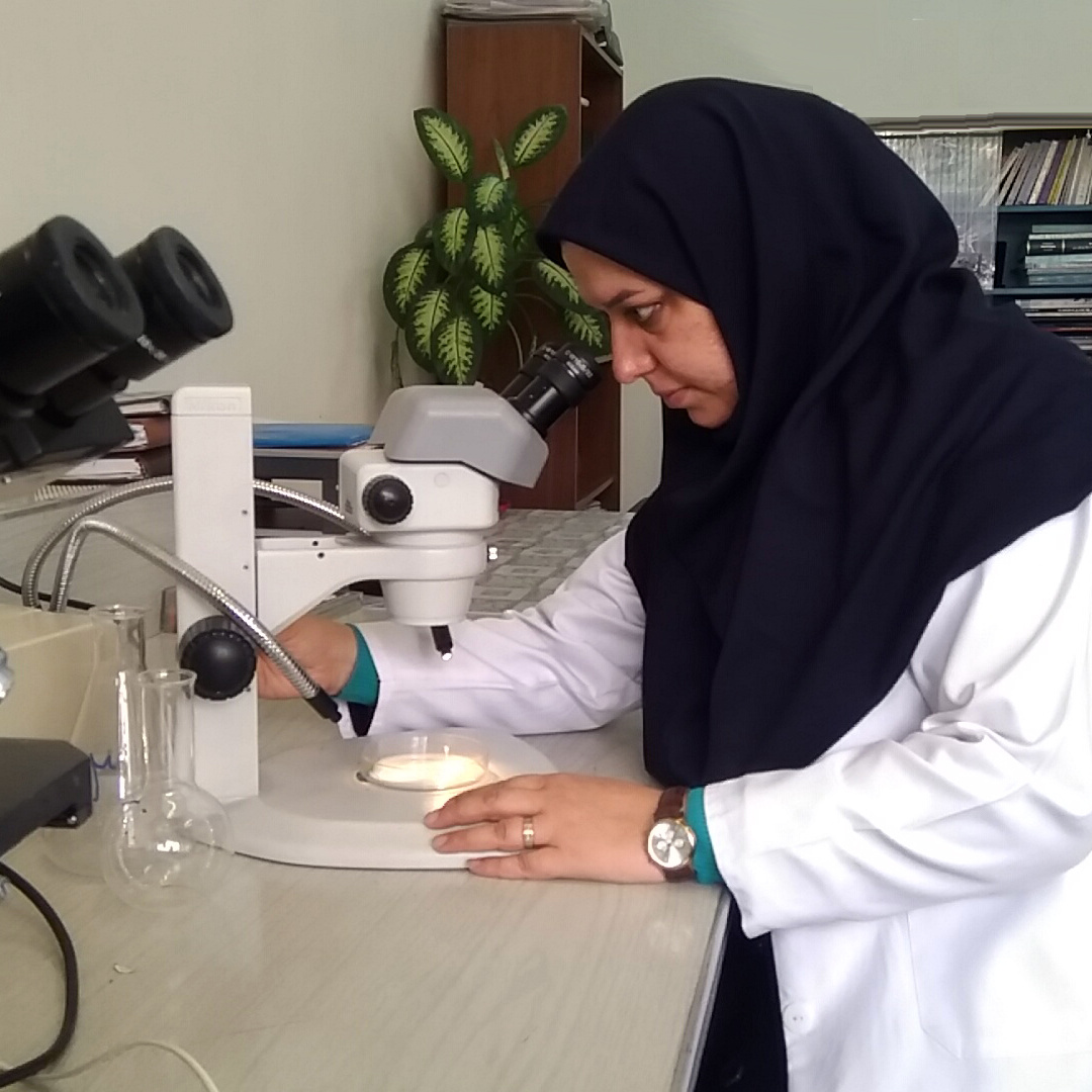 خانم دکتر مریم رضایی