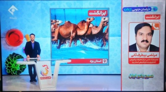 فناوری در خدمت دامپروری با سامانه ساربانیار