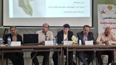 روز انتقال یافته‌ها؛ پیوند علم و عمل در پرورش پسته