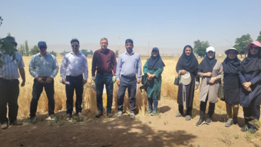 بازدید معاونت پژوهشی موسسه دیم کشور از ایستگاه های تحقیقاتی دیم خدابنده و خیرآباد