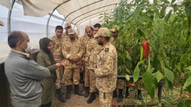 دوره آموزشی مهارتی &quot;کشت سبزی و صیفی در گلخانه&quot; ویژه کارکنان وظیفه ارتش برگزار شد